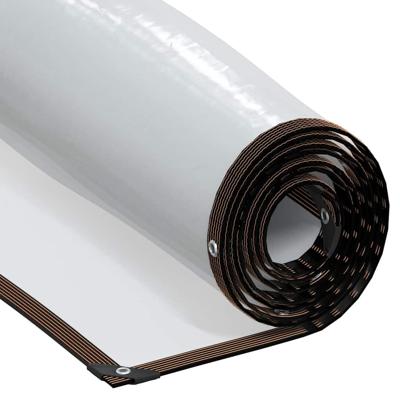 VidaXL Doorzichtig zeildoek met zeilringen 5x8 m polyethyleen VidaXL Doorzichtig zeildoek met zeilringen 5x8 m polyethyleen