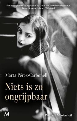 Niets is zo ongrijpbaar - Marta Pérez-Carbonell - ebook
