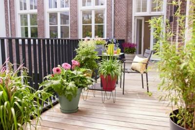 Elho loft urban bowl 35 lavender purple