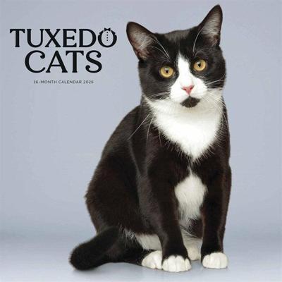 Tuxedo Katten Kalender 2026