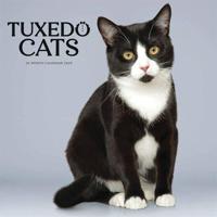 Tuxedo Katten Kalender 2026 - thumbnail