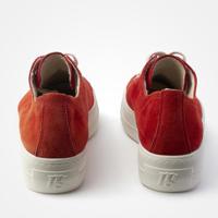 Paul Green 4790 - alle - thumbnail