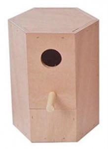 Parkietenblok zeskant Gebr. de Boon - Gebr de boon