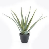 By-Boo Kunstplant 'Aloë Vera' 58cm hoog - thumbnail