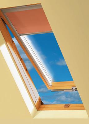 Uitzettuimelraam55x98TH02T