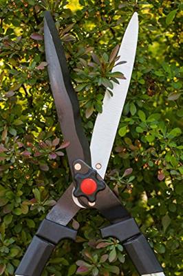 Meister Heggenschaar Telesc. 2C - WU9769100