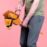 Stokpaardje - Paard - thumbnail