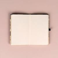 Alphonse Mucha Notitieboek A5 Feather - thumbnail