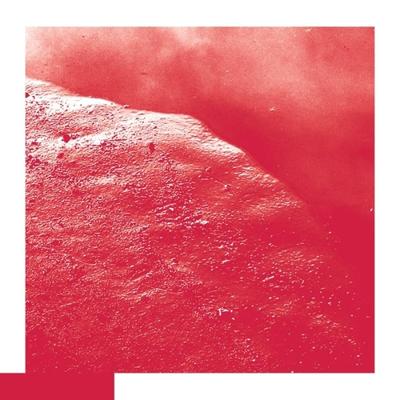 The Cell - CD (4050486115916) The Cell - CD (4050486115916)