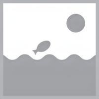 Buisafsluiter - 145 - 200 mm - thumbnail