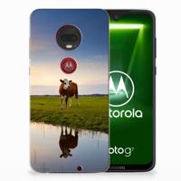 Motorola Moto G7 | G7 Plus TPU Hoesje Koe - thumbnail