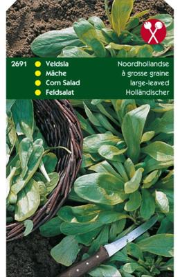 Zaden 15 Gram - Veldsla Grote Noordhollandse Hortitops - Hortitops