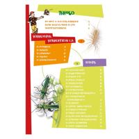 Deltas de leukste insectengids voor kids - thumbnail