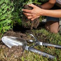 Fiskars Xact Plantvork - thumbnail