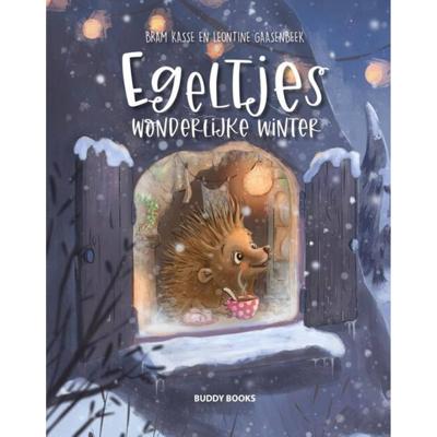 Egeltjes wonderlijke winter (Hardback)