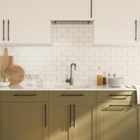 Handvatten 20 st 224 mm roestvrij staal zwart - thumbnail