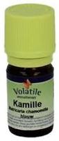 Volatile Kamille (Ormenis Multicaulis) 1ml - thumbnail