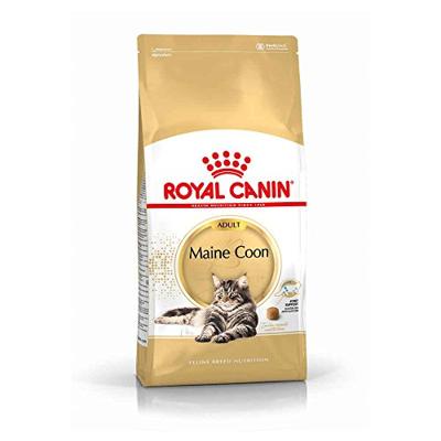Royal Canin Adult Maine Coon kattenvoer 4 kg Royal Canin Adult Maine Coon kattenvoer 4 kg