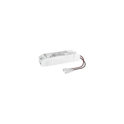 Brumberg 17723000 LED-converter 31 W 700 mA 45 V Niet dimbaar
