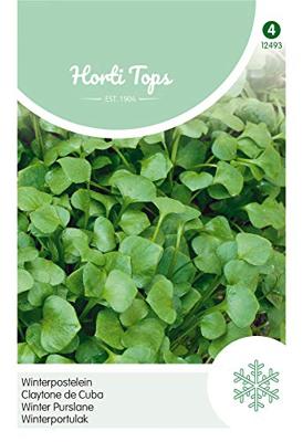 Zaden Winter Postelein Hortitops - Hortitops Zaden Winter Postelein Hortitops - Hortitops
