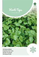 Zaden Winter Postelein Hortitops - Hortitops - thumbnail