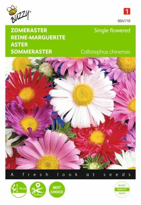 Zaden Callistephus Zomeraster enkelbloemig gemengd Buzzy - Buzzy