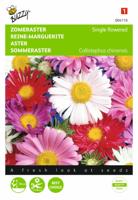 Zaden Callistephus Zomeraster enkelbloemig gemengd Buzzy - Buzzy - thumbnail