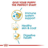 Royal Canin Puppy Cocker Spaniel hondenvoer 3 kg - thumbnail