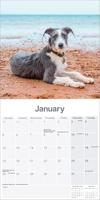 Lurcher Kalender 2026 - thumbnail