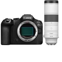 Canon EOS R6 Mark III + RF 200-800mm F/6.3-9 IS USM - thumbnail