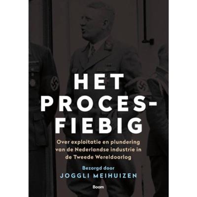 Het Proces-Fiebig (Paperback) Het Proces-Fiebig (Paperback)