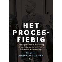 Het Proces-Fiebig (Paperback) - thumbnail