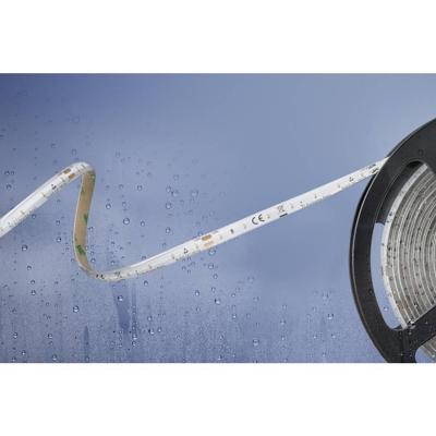 Barthelme Basic 51540328 51540328 LED-strip Met open kabeleinde 24 V 5 m Warmwit 1 stuk(s) Barthelme Basic 51540328 51540328 LED-strip Met open kabeleinde 24 V 5 m Warmwit 1 stuk(s)