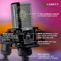 Lewitt Ray grootmembraan condensatormicrofoon - thumbnail