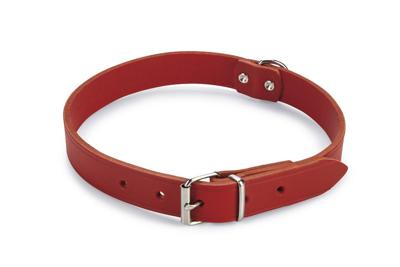 Lederen honden halsband rood - 62 cm x 25 mm