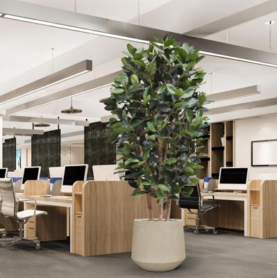 Elastica Robusta Kolom Kunstboom Deluxe 300cm groen