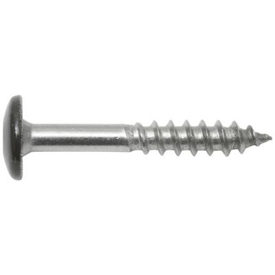 SWG Hox 211535519 Gevelschroef 5.5 mm 35 mm Binnen-T RVS V4A 200 stuk(s)