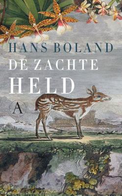 De zachte held - Hans Boland - ebook