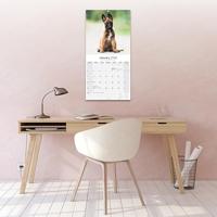 Belgische Herder Kalender 2026 - thumbnail