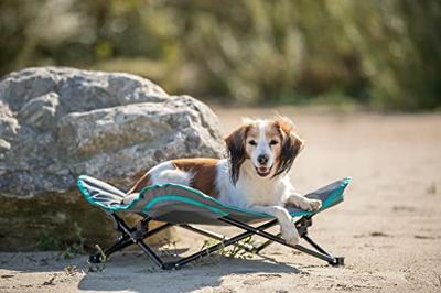 TRIXIE STRETCHER VOOR HOND DONKERGRIJS / PETROL 69X69X20 CM