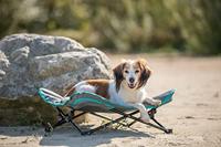 TRIXIE STRETCHER VOOR HOND DONKERGRIJS / ZWART - thumbnail