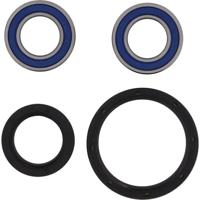 ALL BALLS Racing wiellagerset wheel bearing sets 25-163 complete with simmerrings - thumbnail