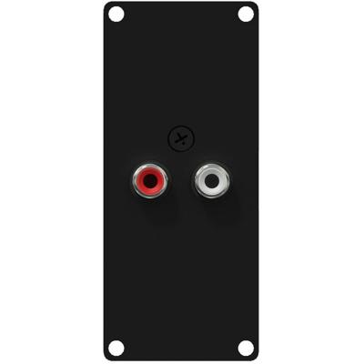 Caymon CASY132/B 2x RCA naar 2x 3pins terminal block module voor CASY-chassis Caymon CASY132/B 2x RCA naar 2x 3pins terminal block module voor CASY-chassis