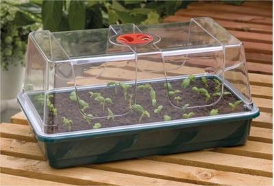 Garland Garland High Dome Propagator