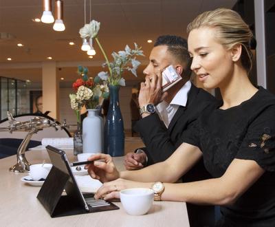 Afdekking, buitenspiegel SV3902 Afdekking, buitenspiegel SV3902