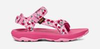 Teva Hurricane XLT 2 Sandaal Kinderen Picnic Cherries Rosebloom/ Bright White 06 - thumbnail