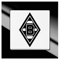 Busch-Jaeger 2000/6UJ/05 Wisselschakelaar Inzetstuk Axcent Wit, Zwart 1 stuk(s) Busch-Jaeger 2000/6UJ/05 Wisselschakelaar Inzetstuk Axcent Wit, Zwart 1 stuk(s)