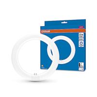 OSRAM HOMELIGHTING LED-buis-Ring Energielabel: E (A - G) G10q 11 W = 22 W Koudwit 1 stuk(s) (Ø x l) 312 mm x 212 mm - thumbnail