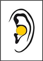 Connex Oordoppen 37Db En352-2 10St - COXT938711 - thumbnail