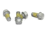 TRW bouten set screw set 4pcs. m6x1 - thumbnail